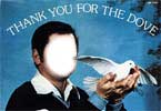 Mike Adkins - Thank You For The Dove